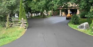 Best Driveway Border and Edging  in Liolnton, NC